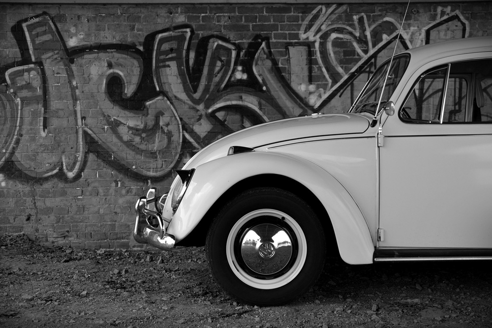 Lineup of classic Volkswagen Beetles at a VW show.