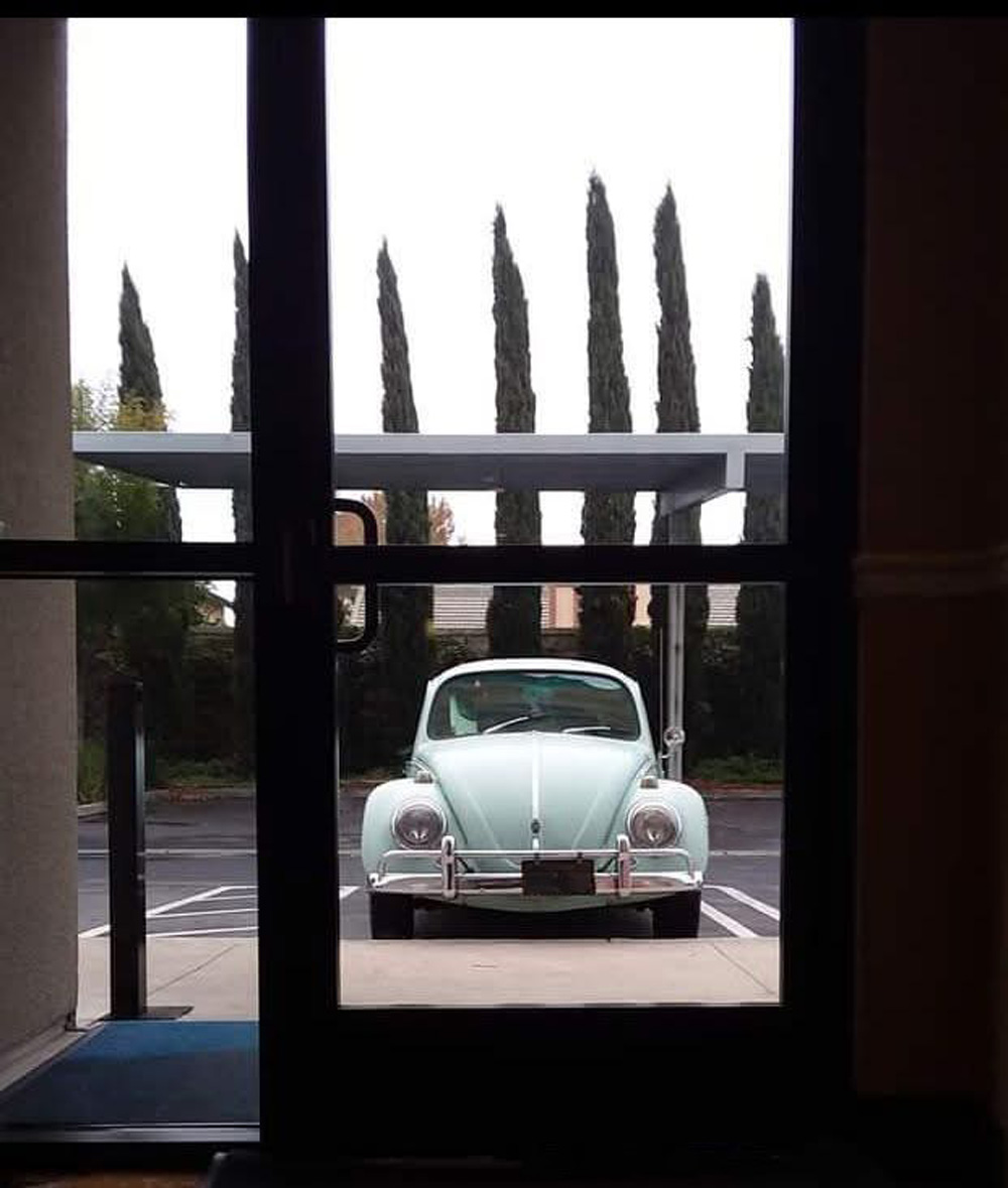 Standard Beetle photoshoot