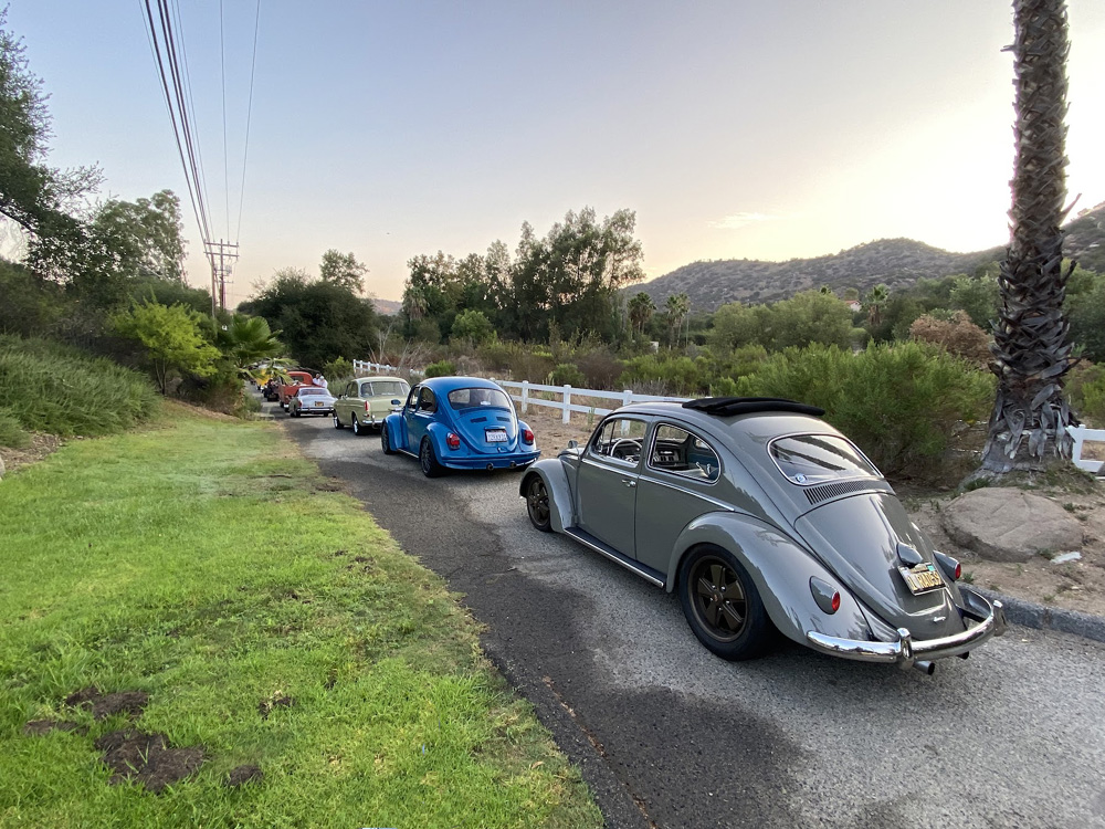 VW cruise with lots of Bugs