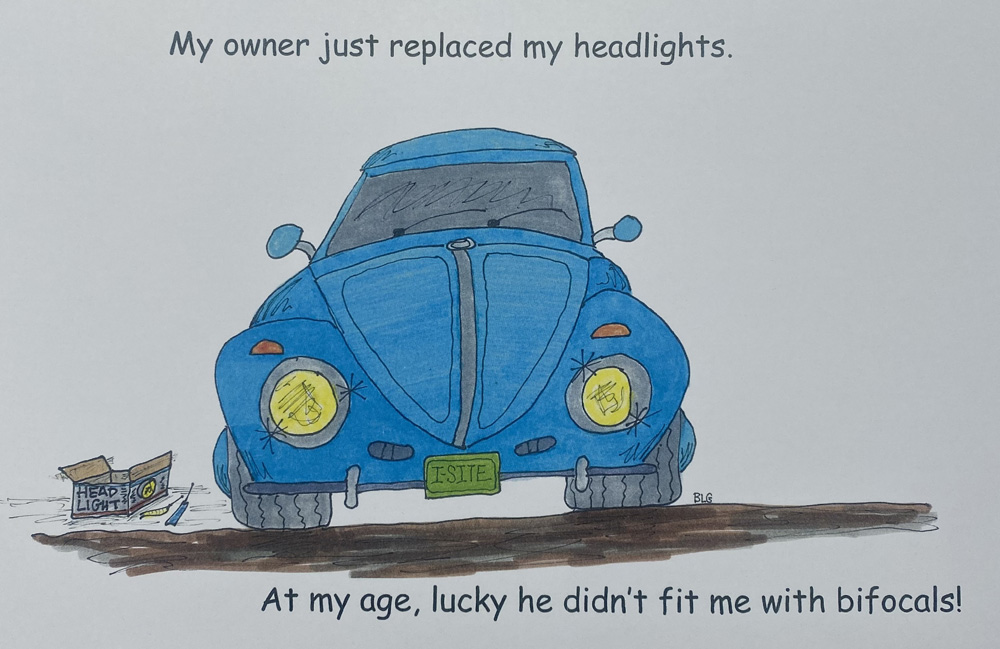 VW Cartoon book with jokes