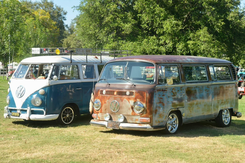 Classic Volkswagen Buses parked under a large tree at the El Prado VW Show & Shine