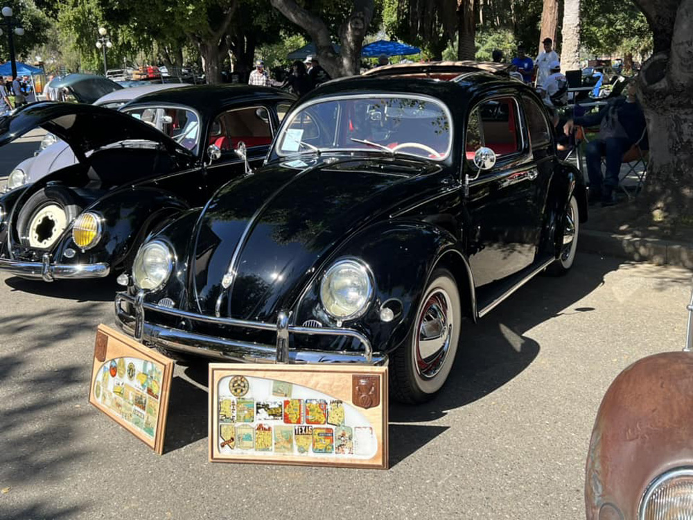 Oval Window Beetle at the Spring Fling 2024