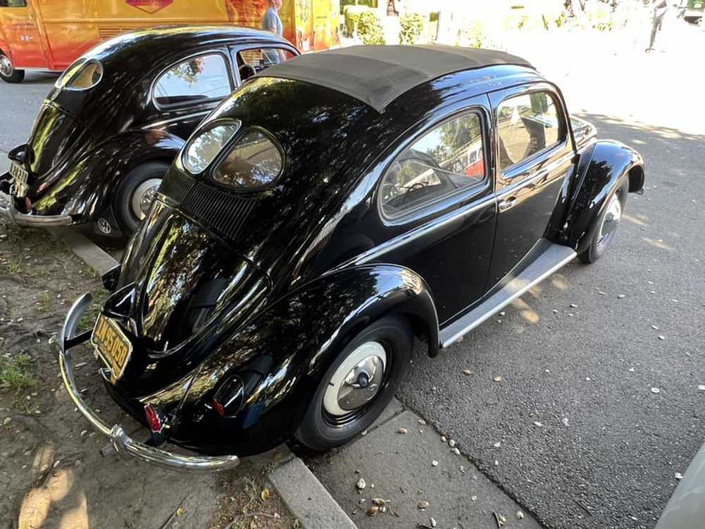 Two Split Window Bugs at the show
