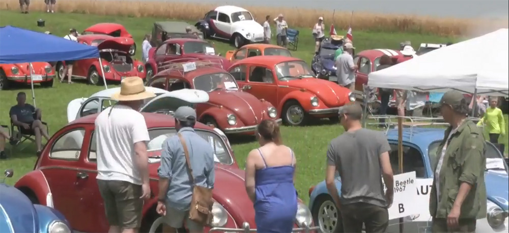 KW Bug Club Bug Out 24