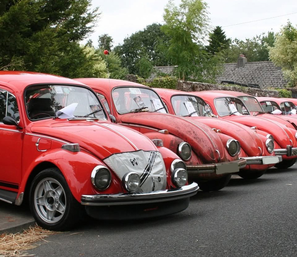 Kelly Park 40th Anniversary - Spring Meet